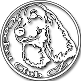 English Cocker Spaniel